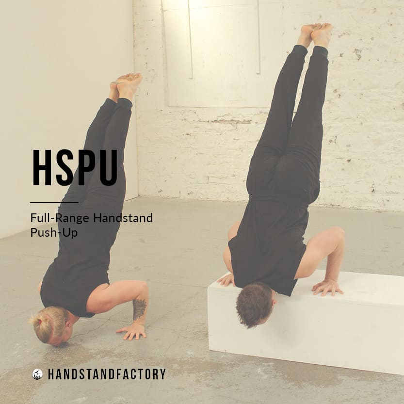 Handstand Pushup Strength Progression - Performance Plus Programming