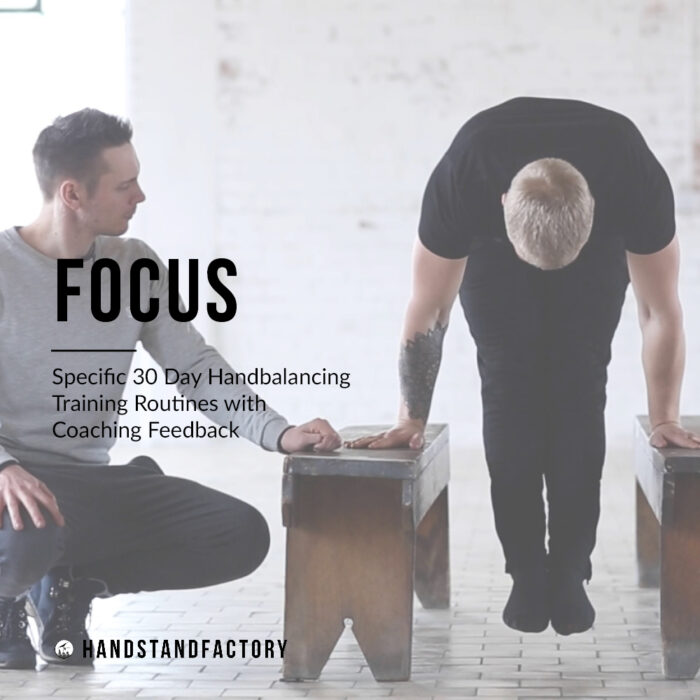 HSF Focus Subscription (Murielle onboarding)